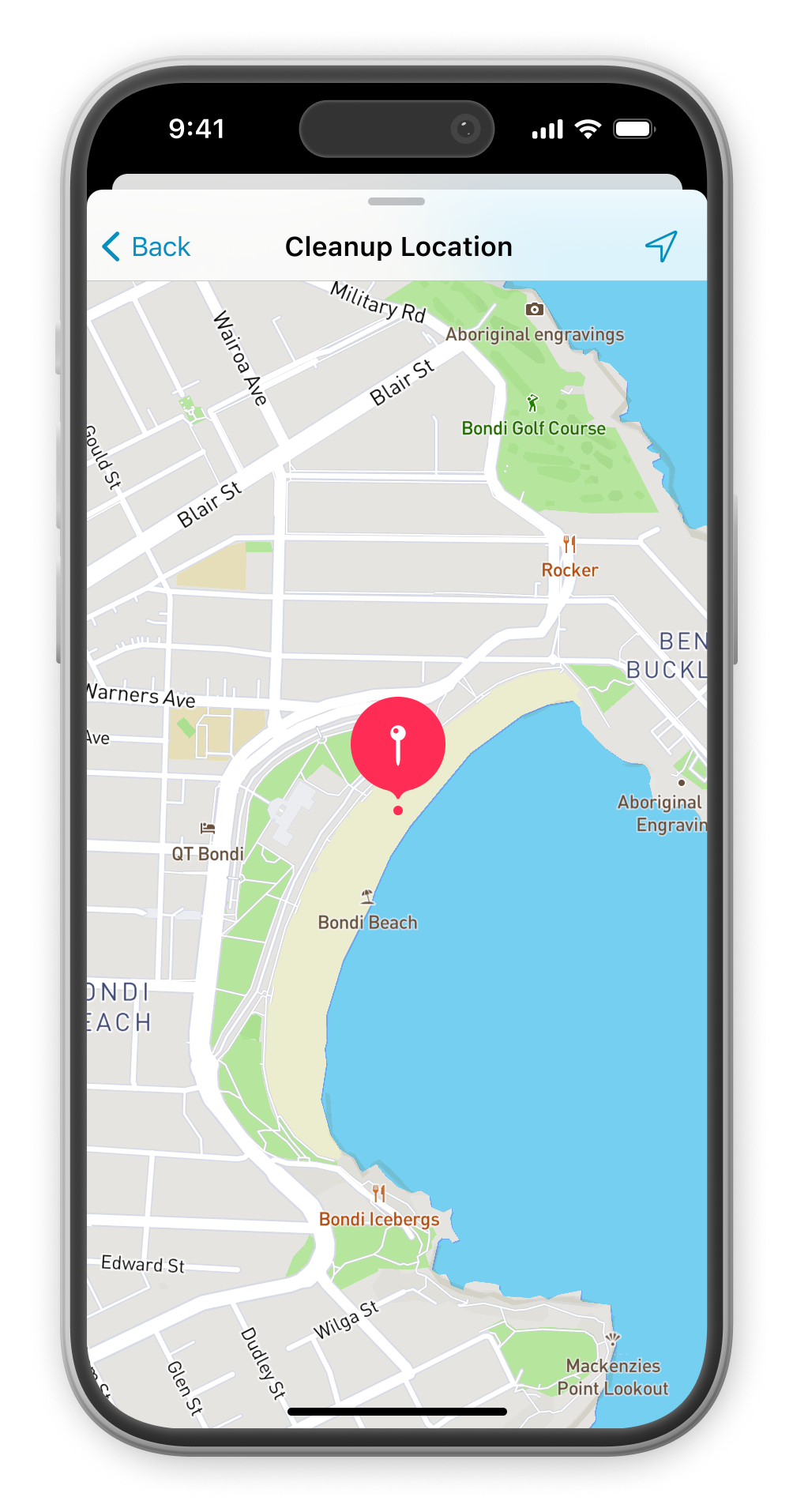 Image of the Cleaner Coast mockup.